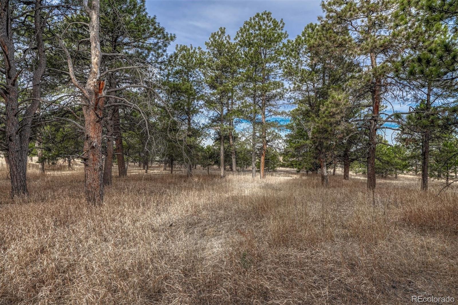 16511 Early Light Drive