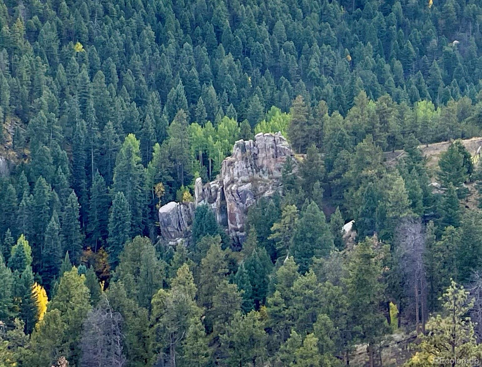 1342 Old Crystola Canyon Road