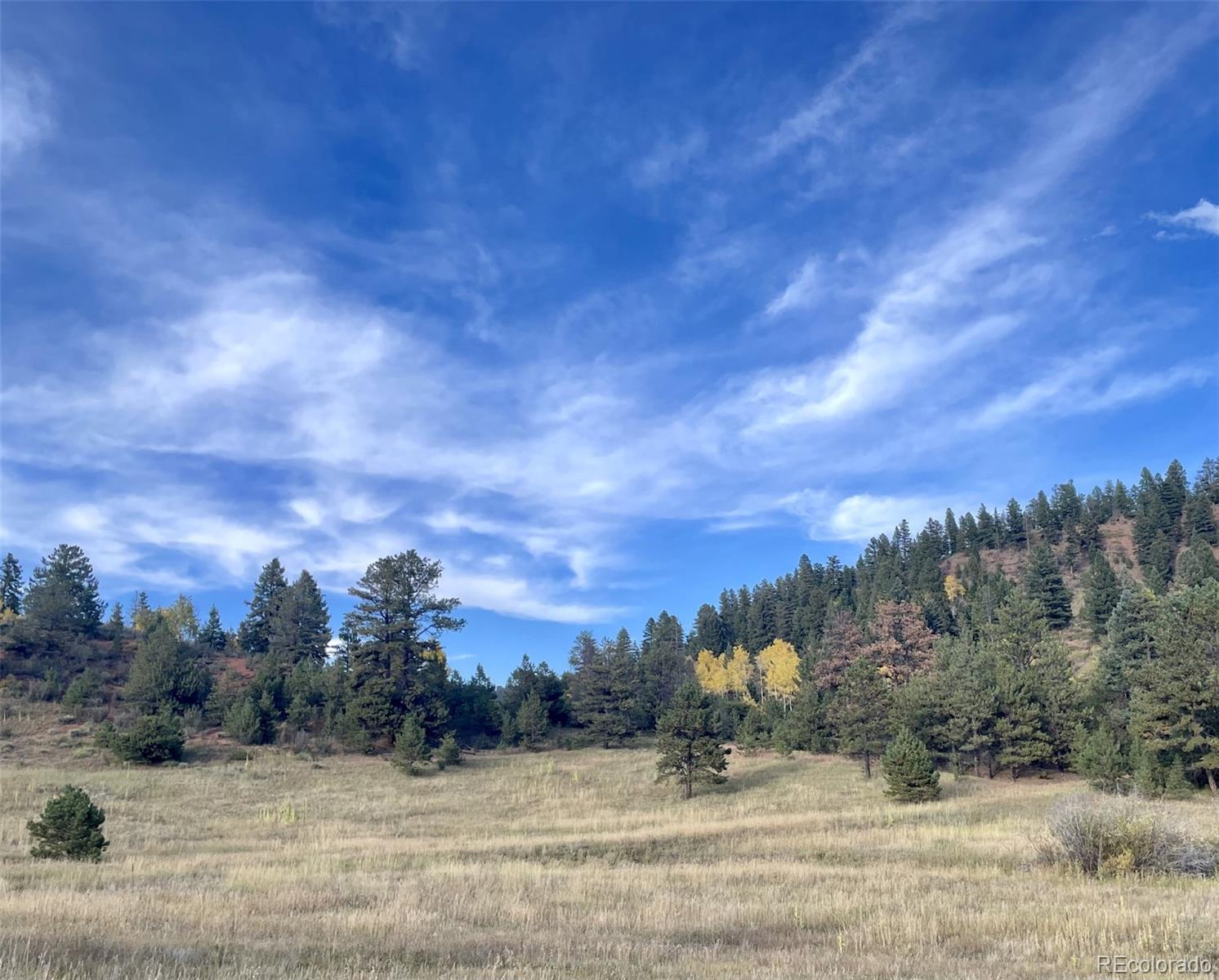 1342 Old Crystola Canyon Road