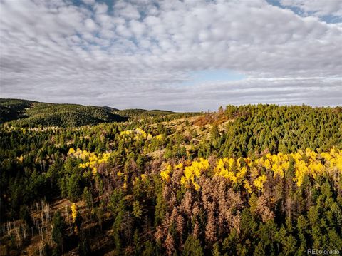 1342 Old Crystola Canyon Road Woodland Park CO 80863