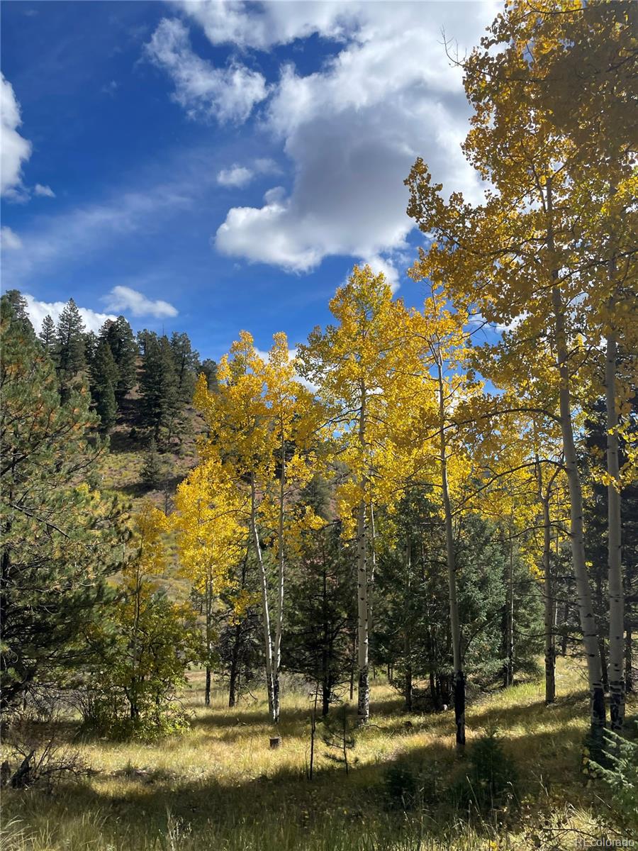 1342 Old Crystola Canyon Road