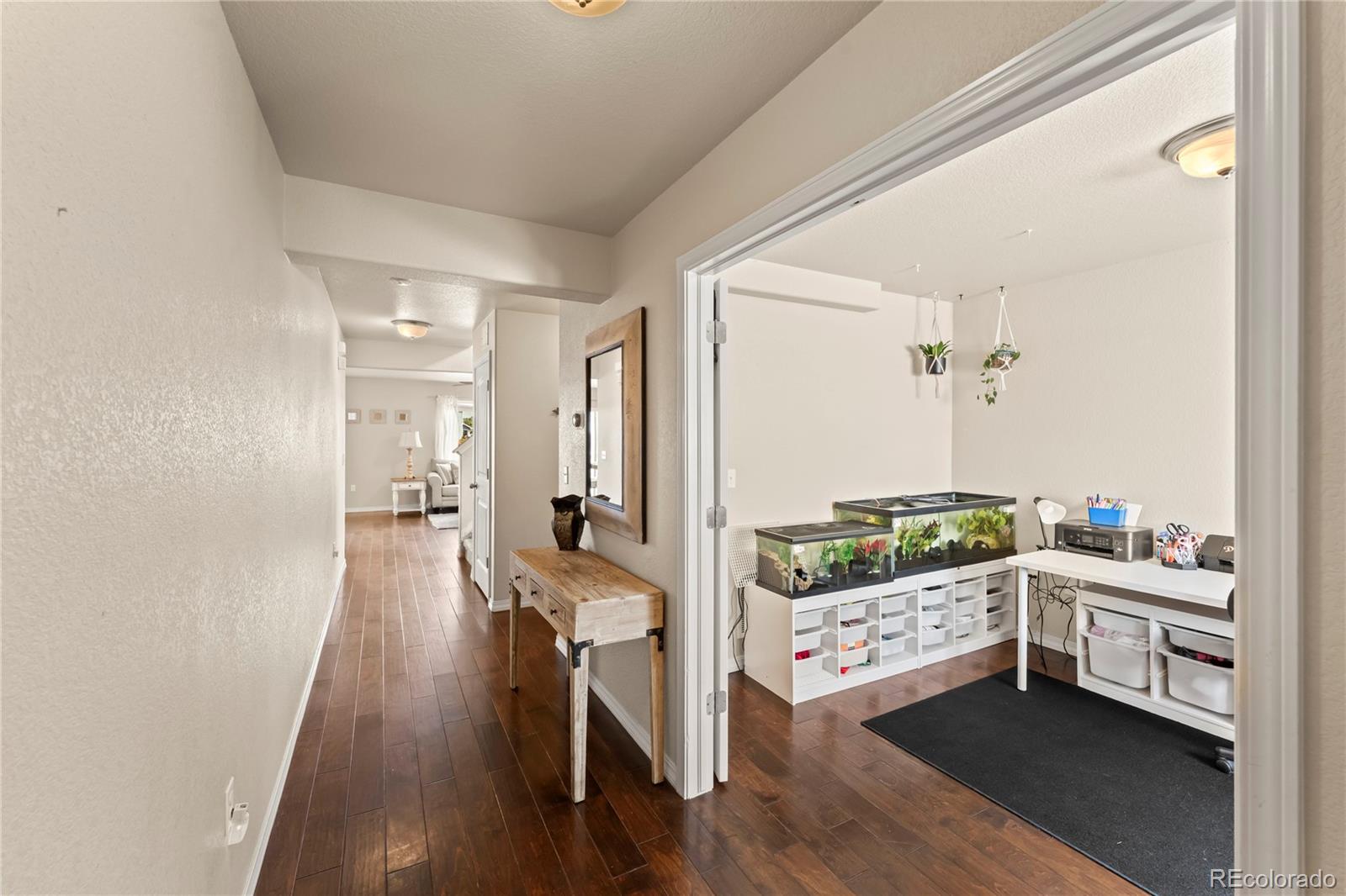 3763 Winter Sun Drive