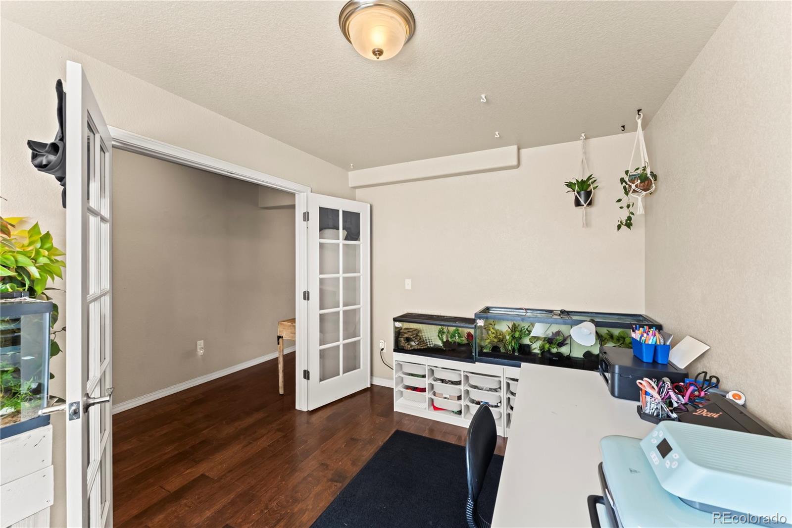 3763 Winter Sun Drive