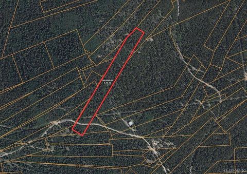 000 Lamartine Road Idaho Springs CO 80452