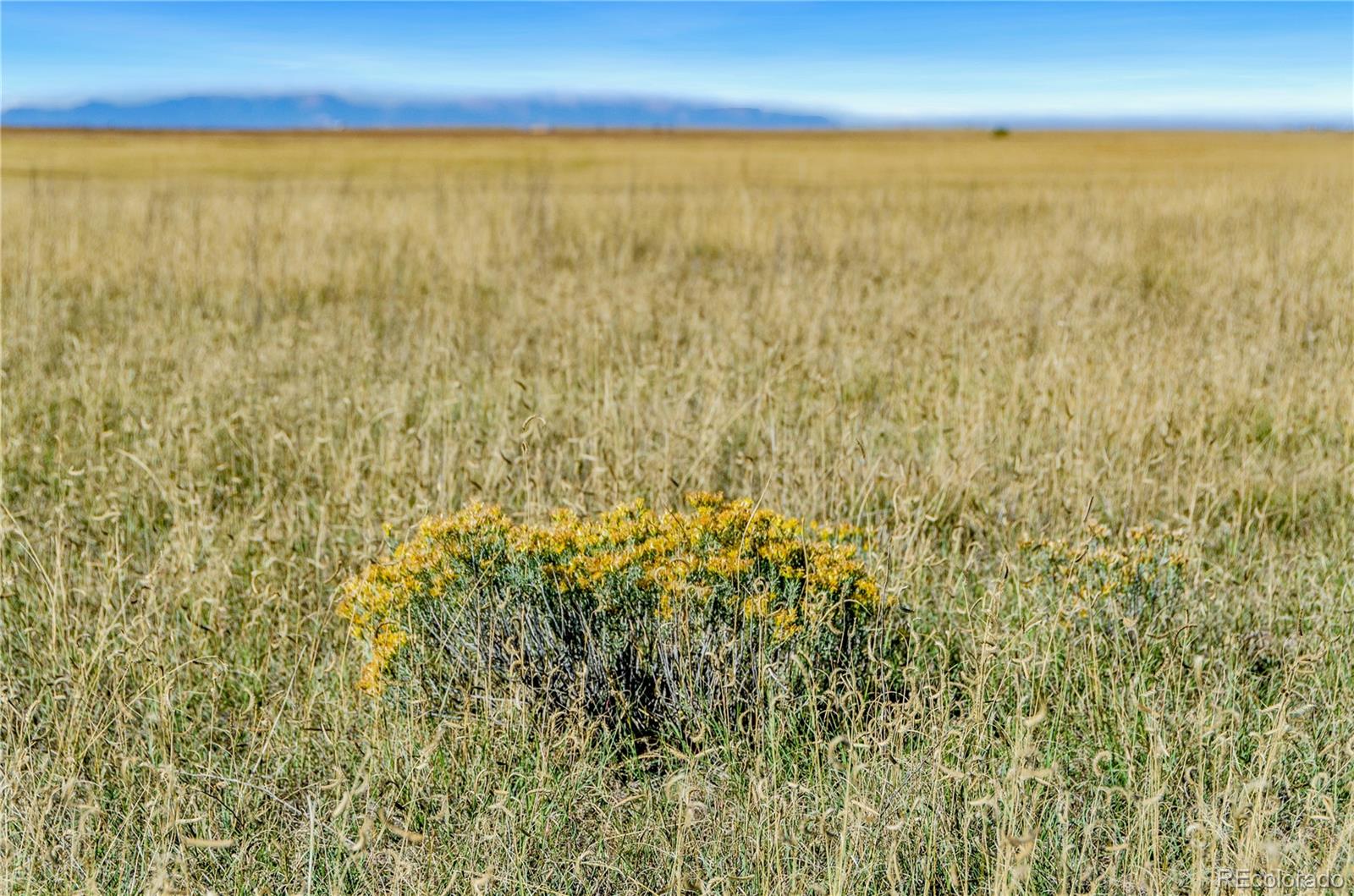 35 Acre Vista Ranch, Lot 39