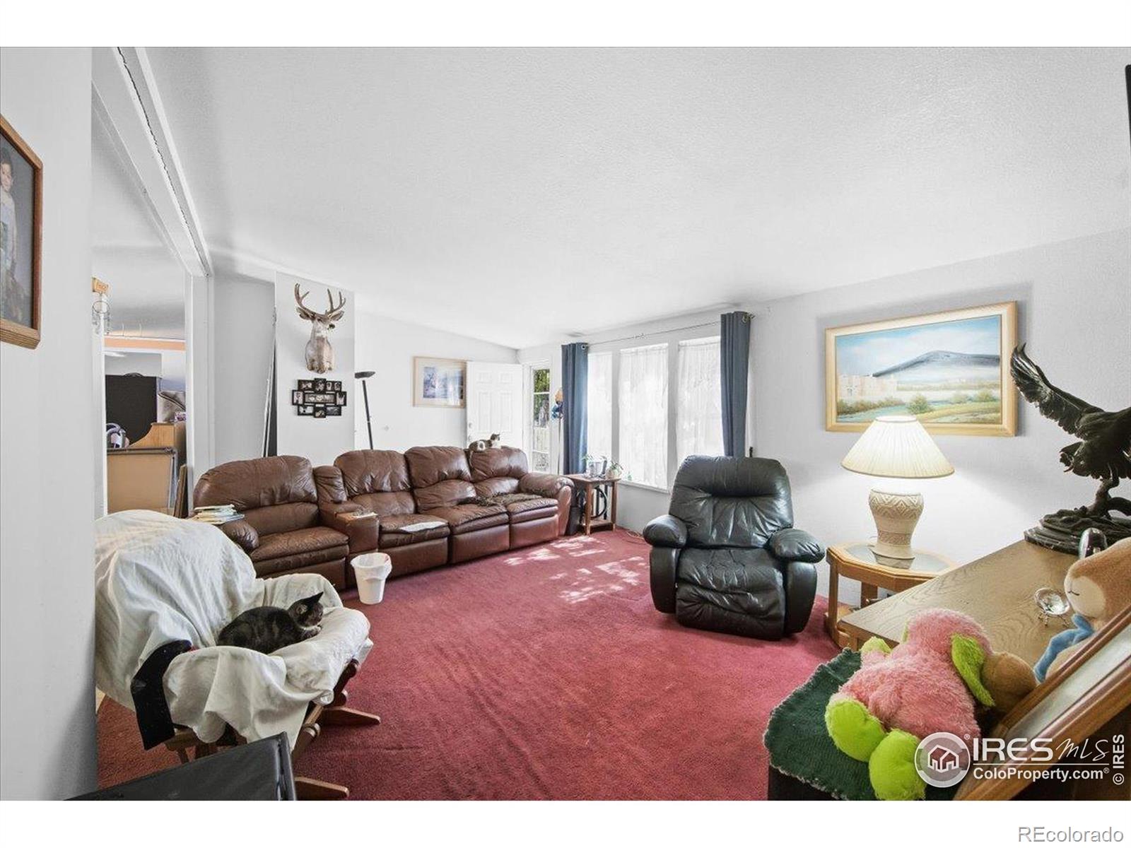 135 Poplar Street, Lochbuie, CO, 80603 4 135 Poplar Street