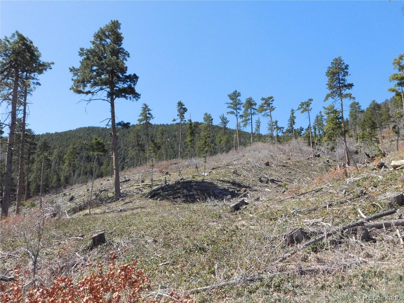 8249 Yuma Circle, Larkspur, CO, 80118 8249 Yuma Circle