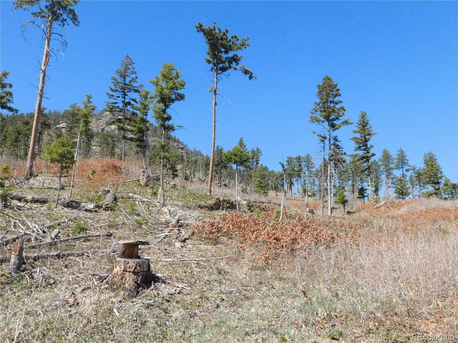 8249 Yuma Circle, Larkspur, CO, 80118 8249 Yuma Circle