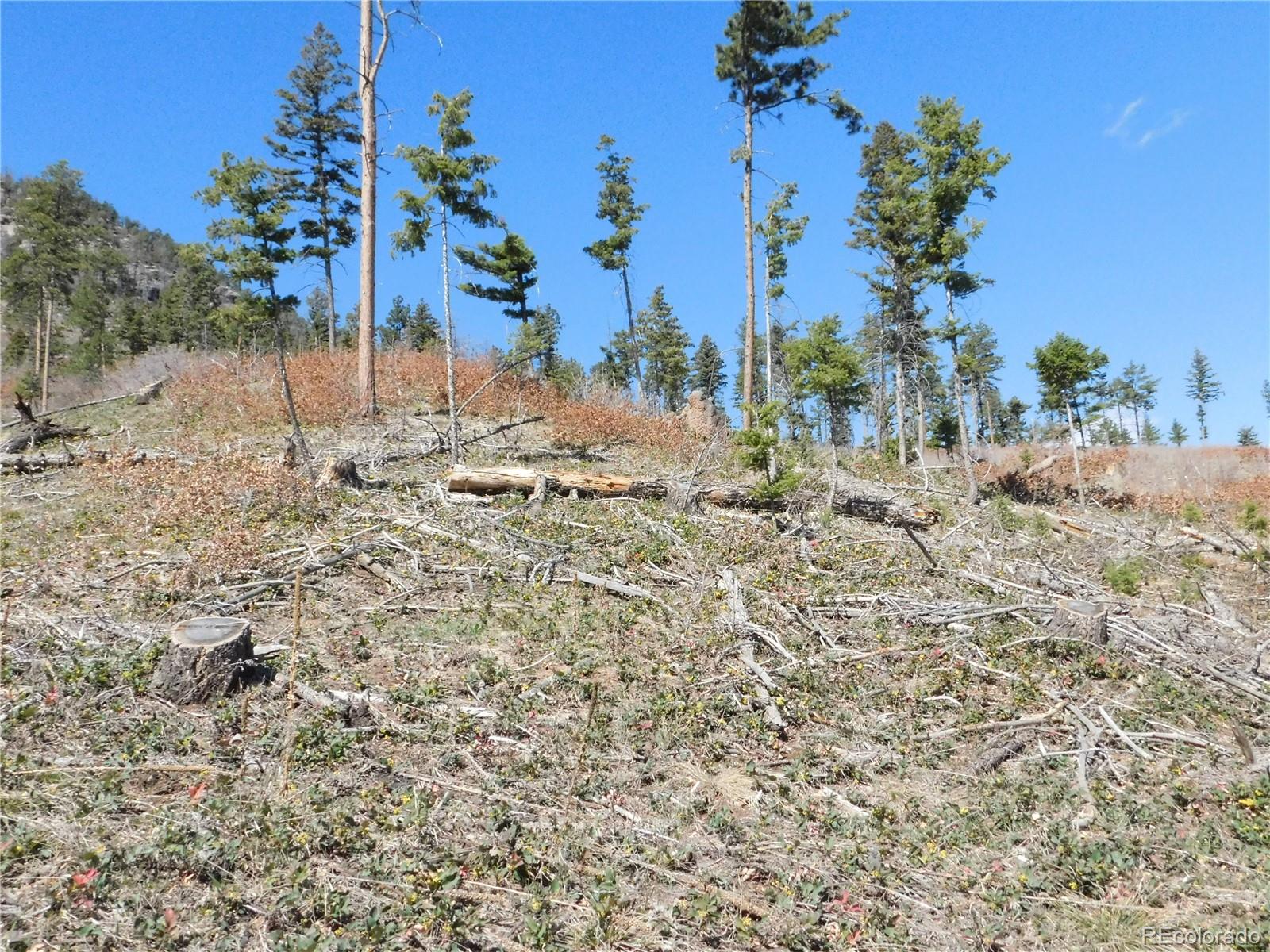 8249 Yuma Circle, Larkspur, CO, 80118 8249 Yuma Circle