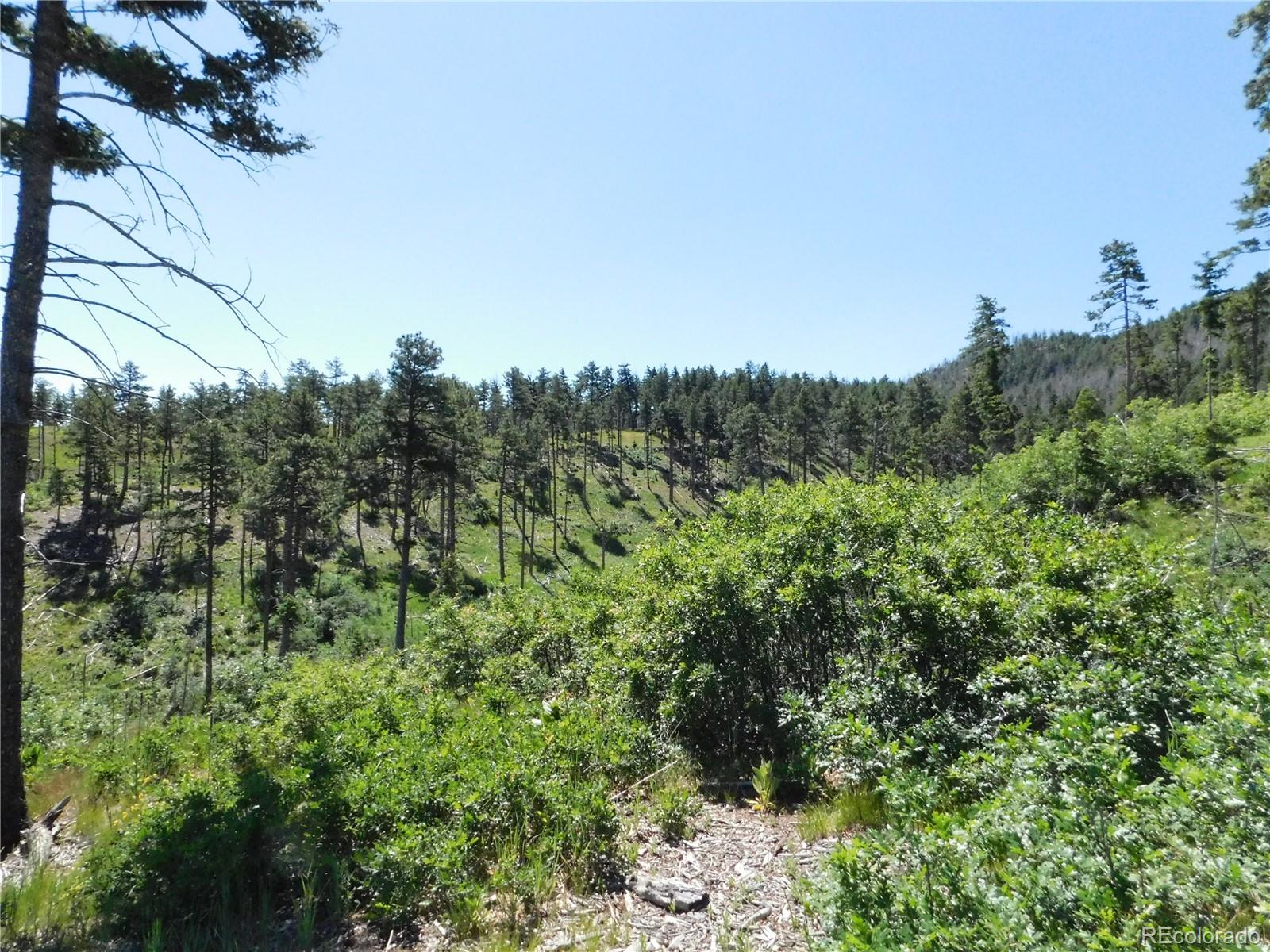 8249 Yuma Circle, Larkspur, CO, 80118 8249 Yuma Circle