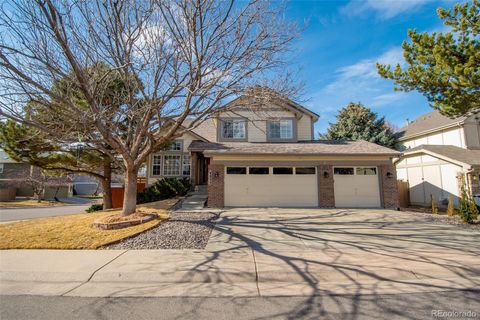 Photo of 4855 N Sungold Lane, Castle Rock, CO 80109 (MLS # 9007338)