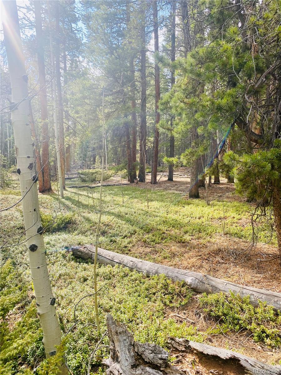 00 Lone Ponderosa Drive
