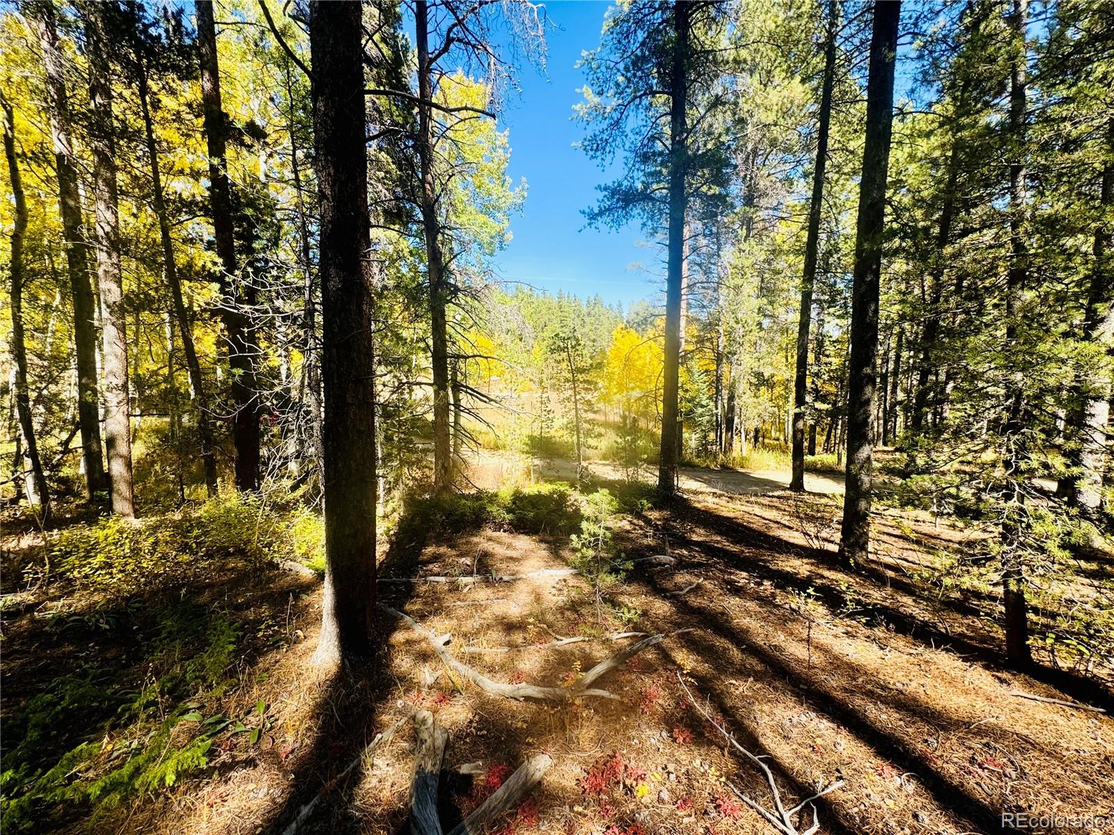 00 Lone Ponderosa Drive