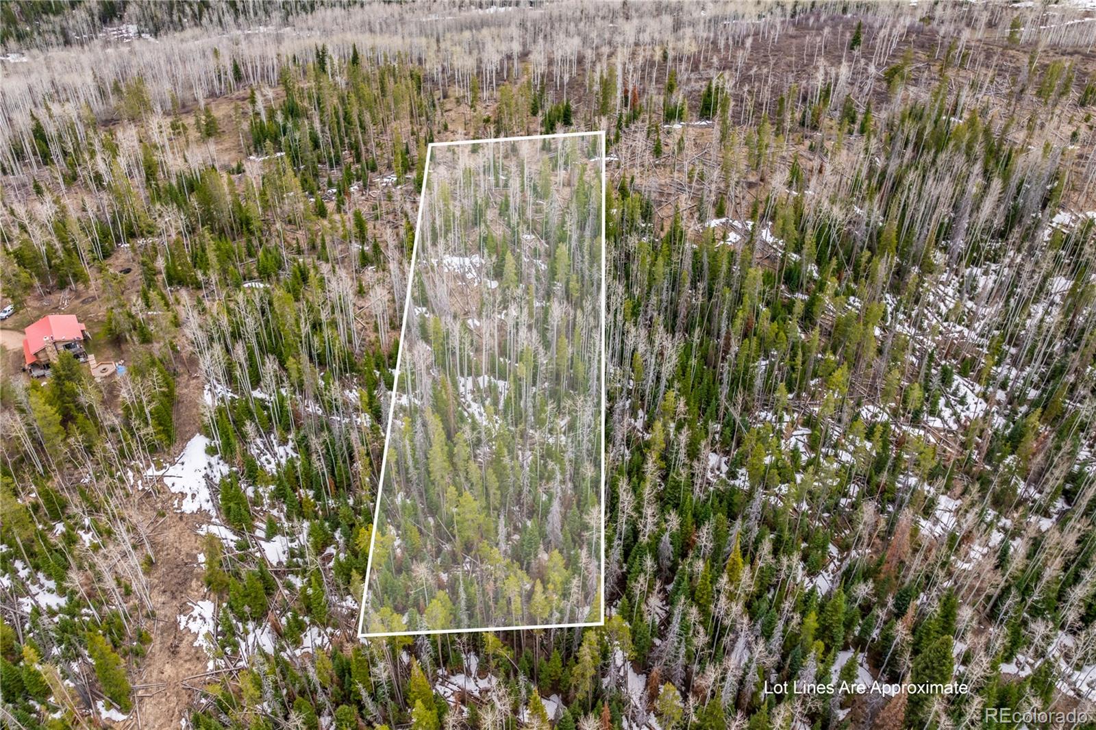 Listing image 1