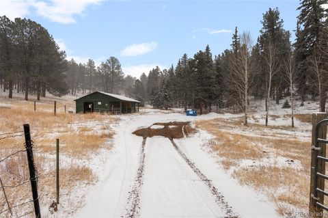30438 Sunset Trail, Pine, CO 80470 - #: 5232207