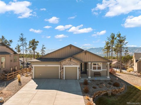 927 Graywoods Trace, Monument, CO 80132 - #: 6877087