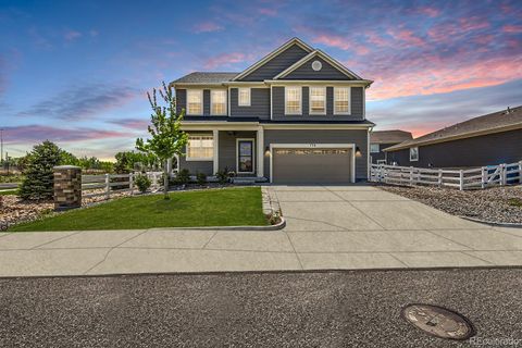738 Goldenrod Parkway, Henderson, CO 80640 - #: 2205033