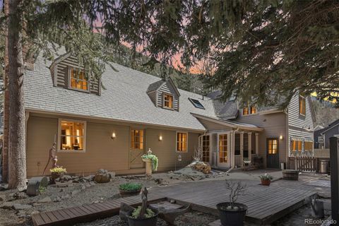 916 Griffith Street Georgetown CO 80444