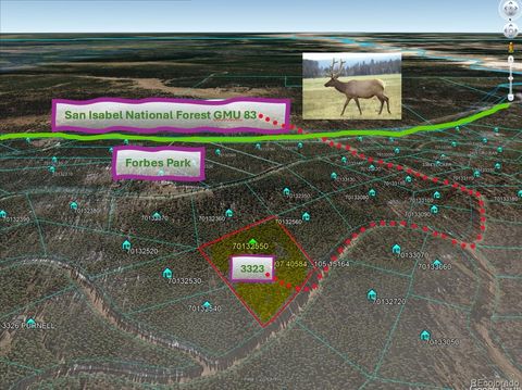 3323 Purnell Lane Fort Garland CO 81133