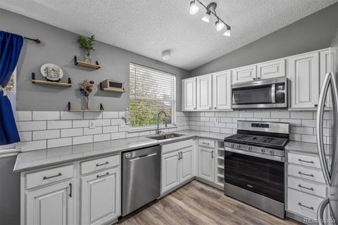 8434 Rabbitbrush Way Parker CO 80134