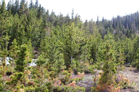 Unimproved Land in Idaho Springs CO Lot 314 Aspen Road 3.jpg