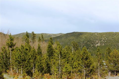 Unimproved Land in Idaho Springs CO Lot 314 Aspen Road 4.jpg