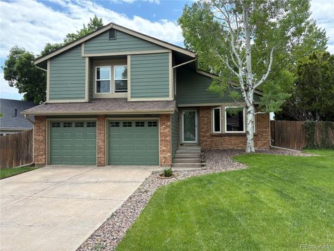 10966 W Half Moon Pass Littleton CO 80127