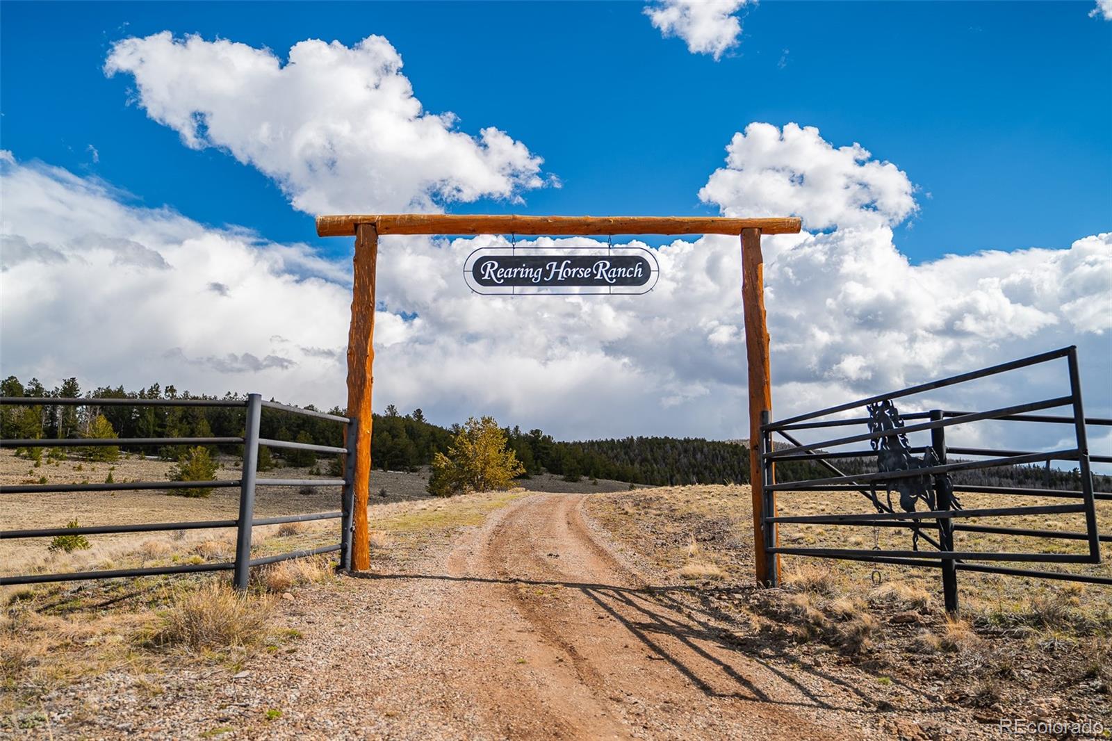 3498 County Road 116