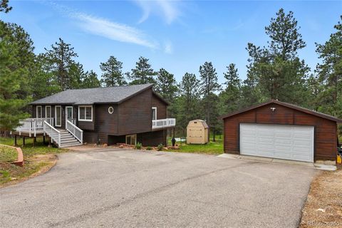 294 Kudu Trail Bailey CO 80421