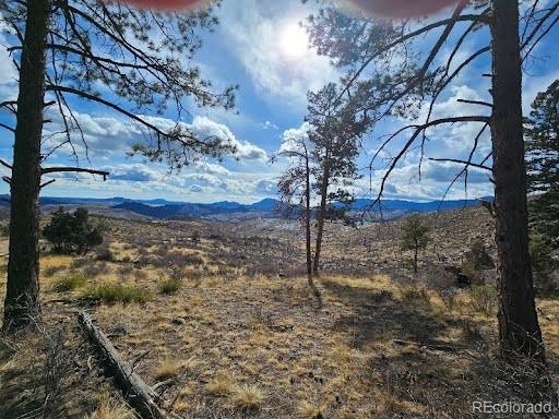 33476 La Plata Lane