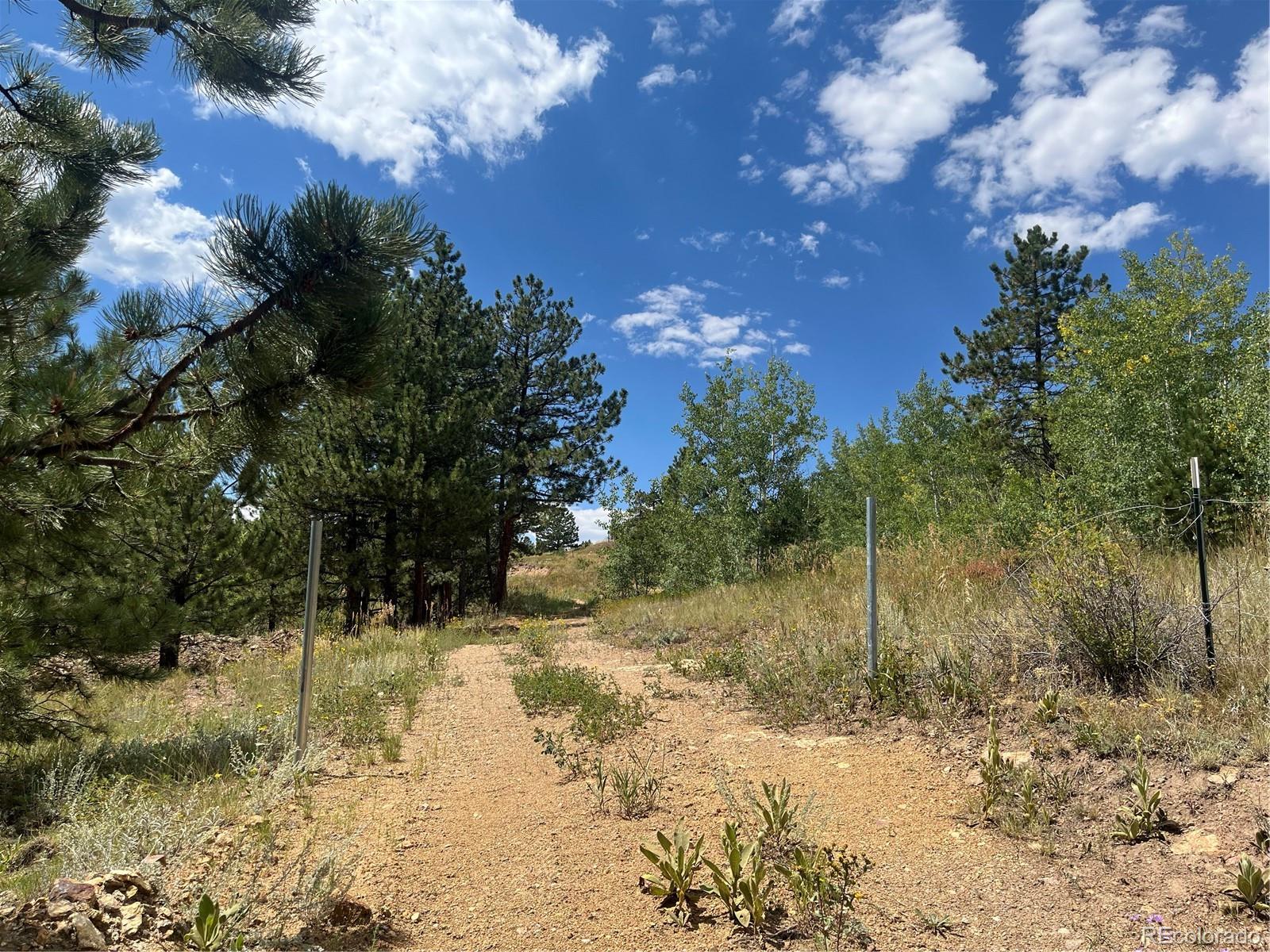 795 Russell Gulch Road