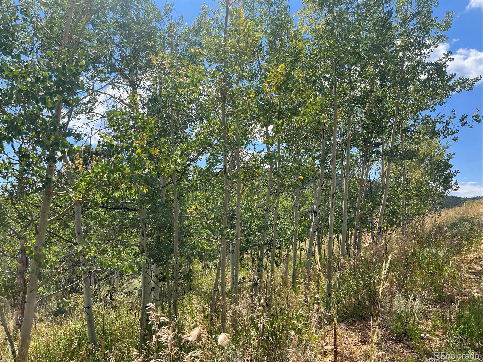 795 Russell Gulch Road