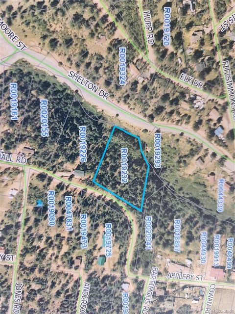 72 Hall Road Bailey CO 80421