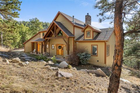 13445 S Baird Road Conifer CO 80433