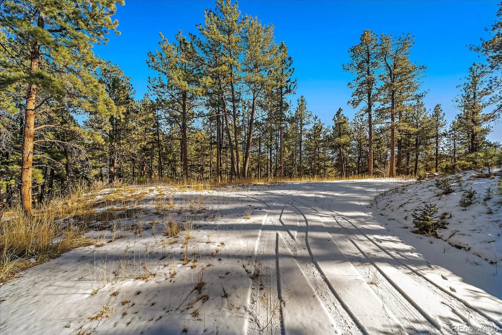 Pine, Colorado 80470, United States, ,Land,Active,68245
