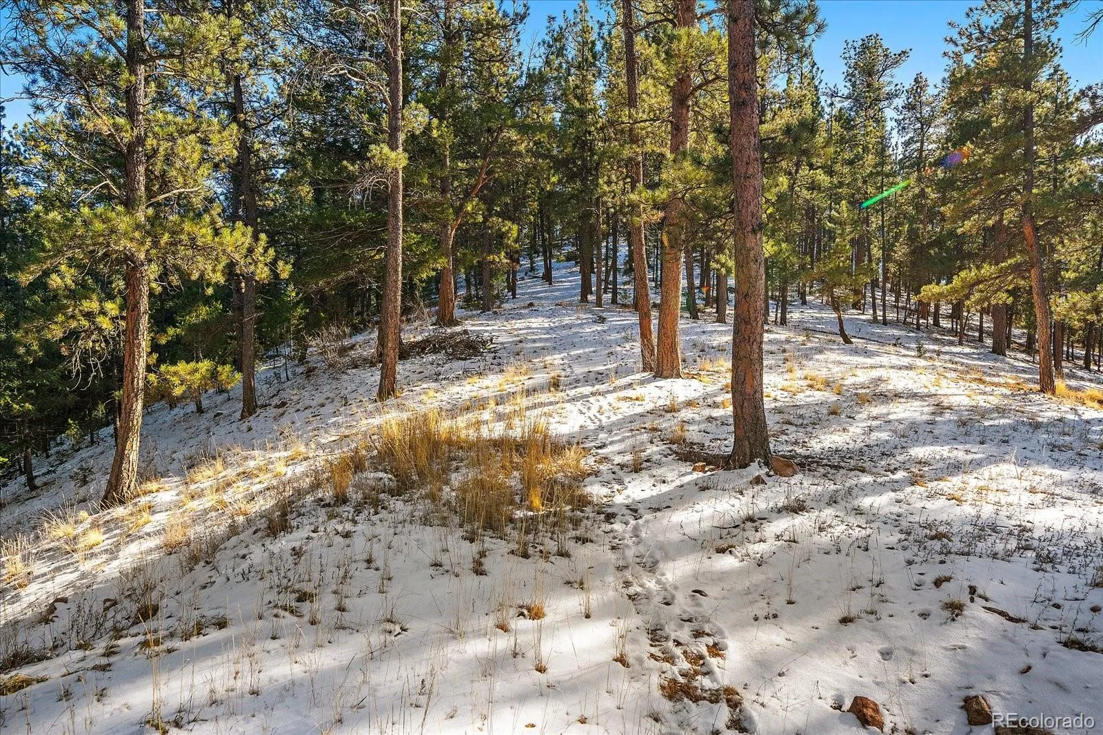Pine, Colorado 80470, United States, ,Land,Active,68245