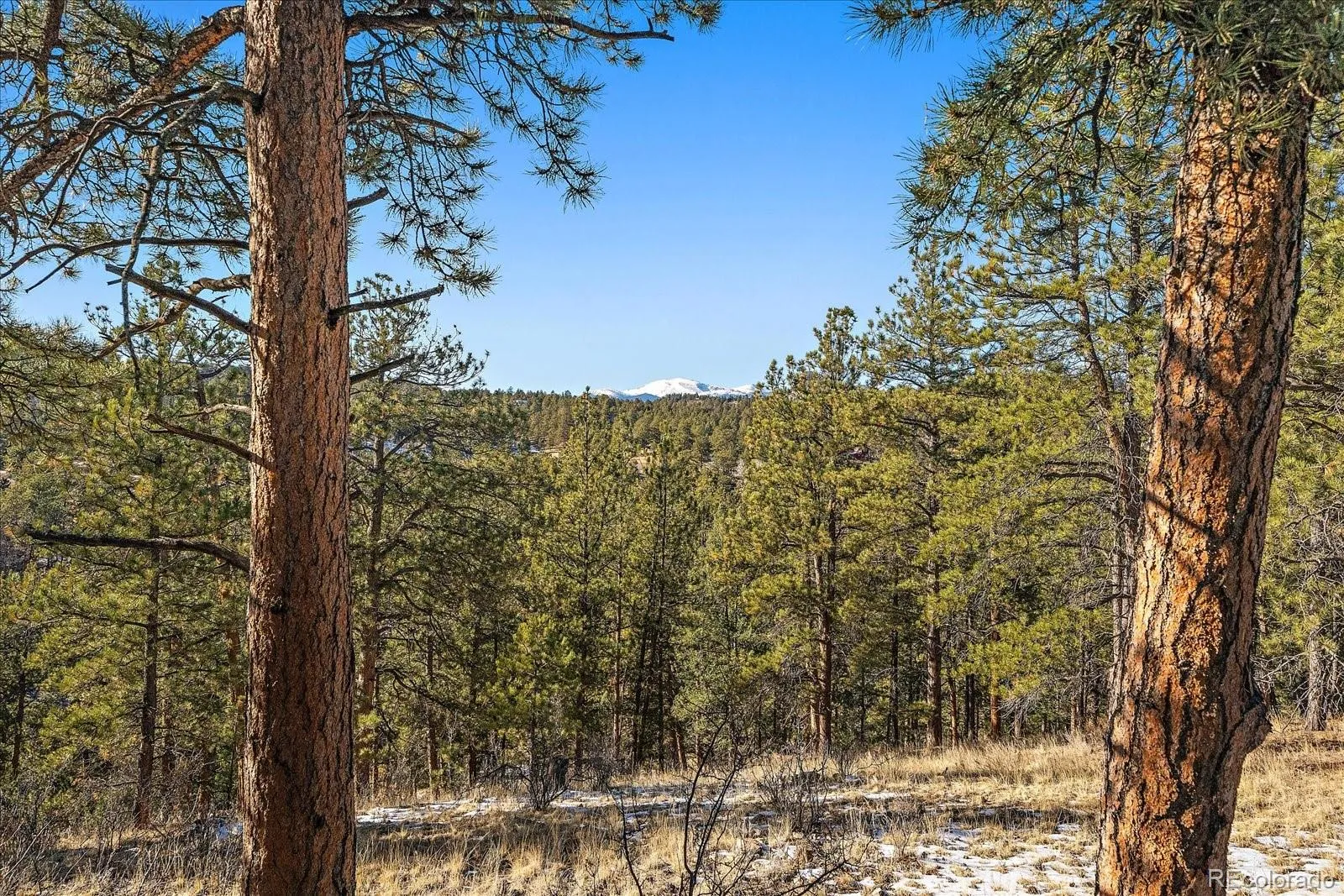 Pine, Colorado 80470, United States, ,Land,Active,68245
