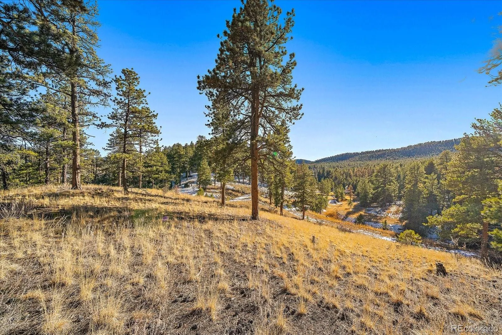 Pine, Colorado 80470, United States, ,Land,Active,68245