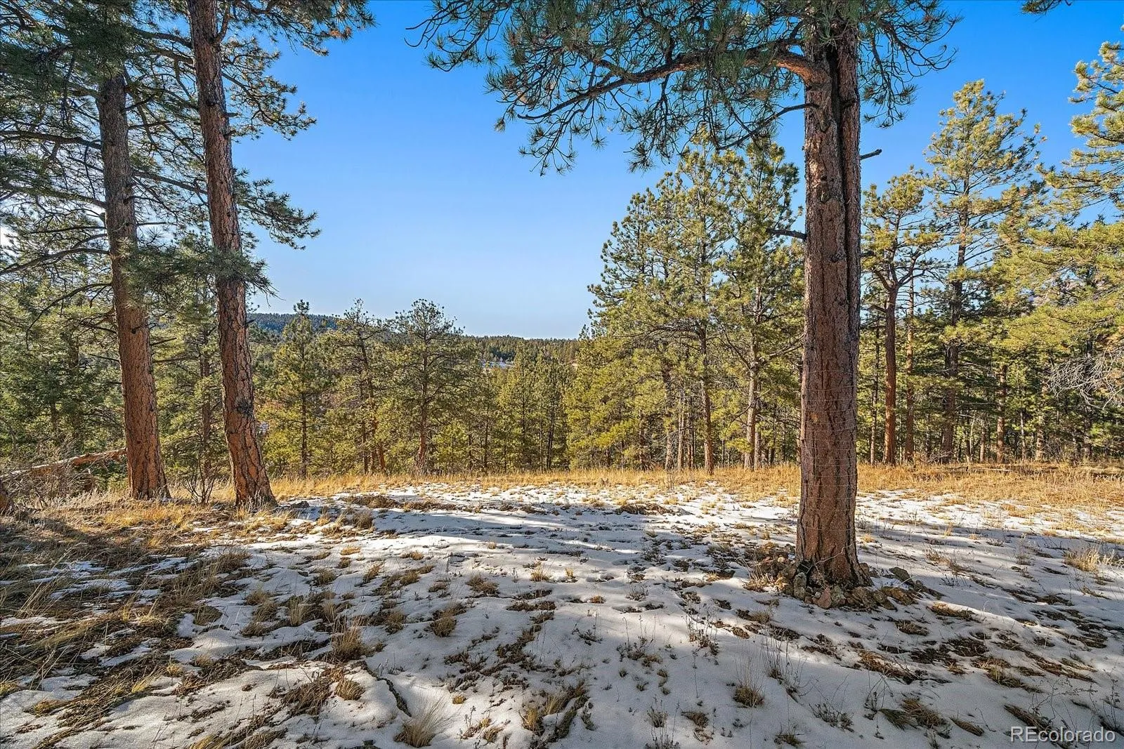 Pine, Colorado 80470, United States, ,Land,Active,68245