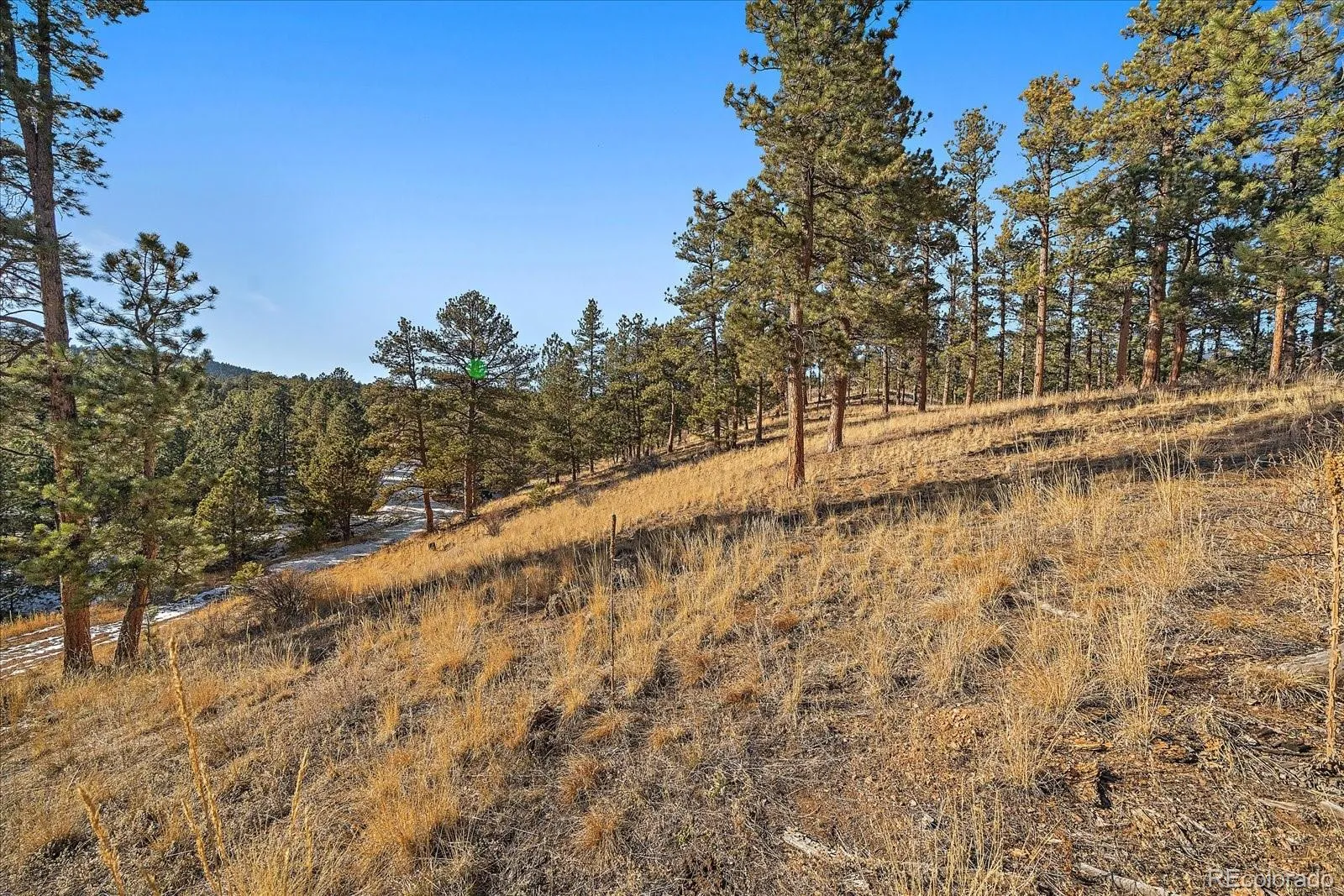 Pine, Colorado 80470, United States, ,Land,Active,68245