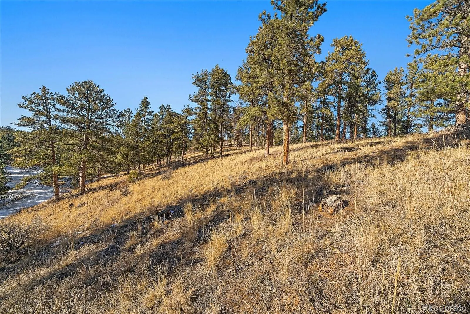 Pine, Colorado 80470, United States, ,Land,Active,68245