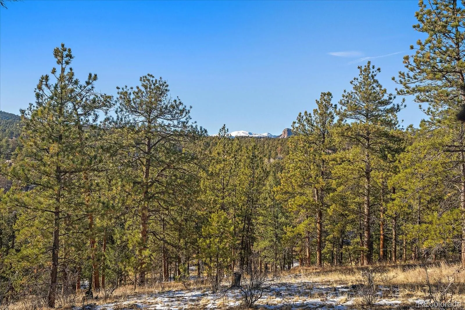 Pine, Colorado 80470, United States, ,Land,Active,68245