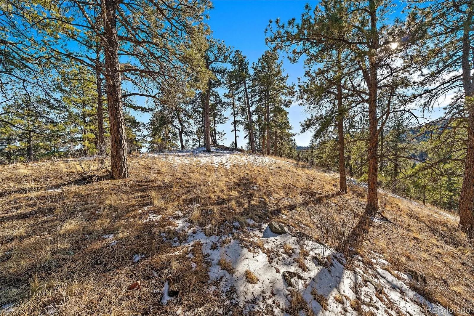 Pine, Colorado 80470, United States, ,Land,Active,68245