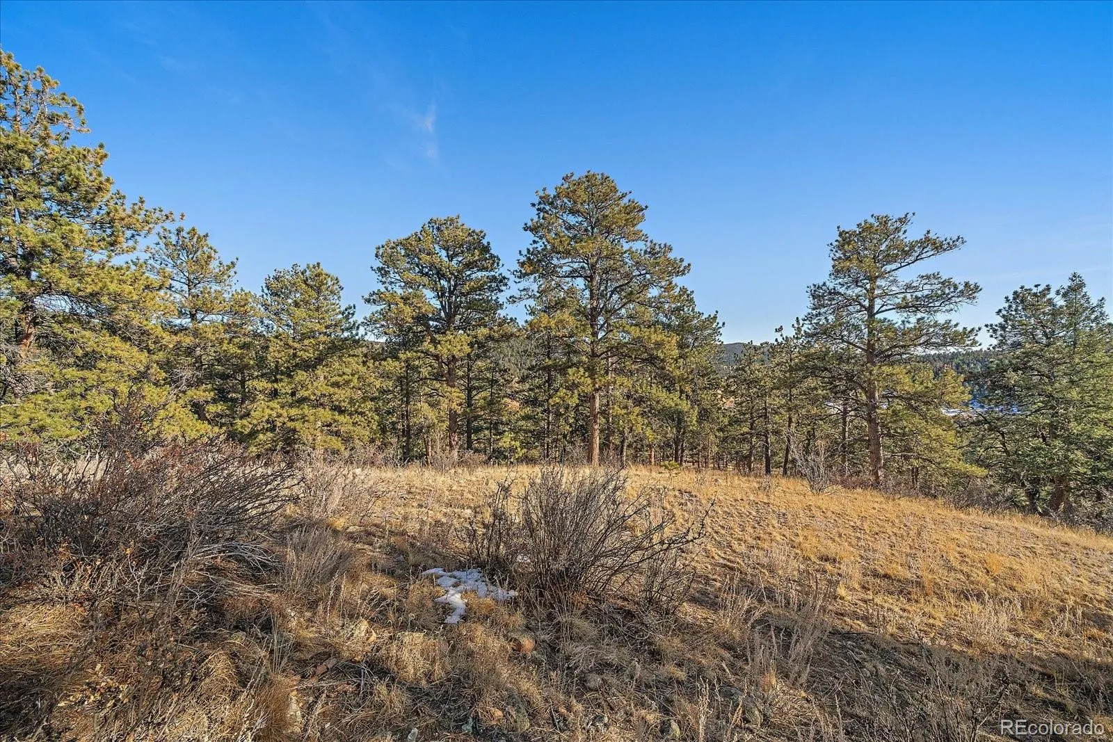 Pine, Colorado 80470, United States, ,Land,Active,68245