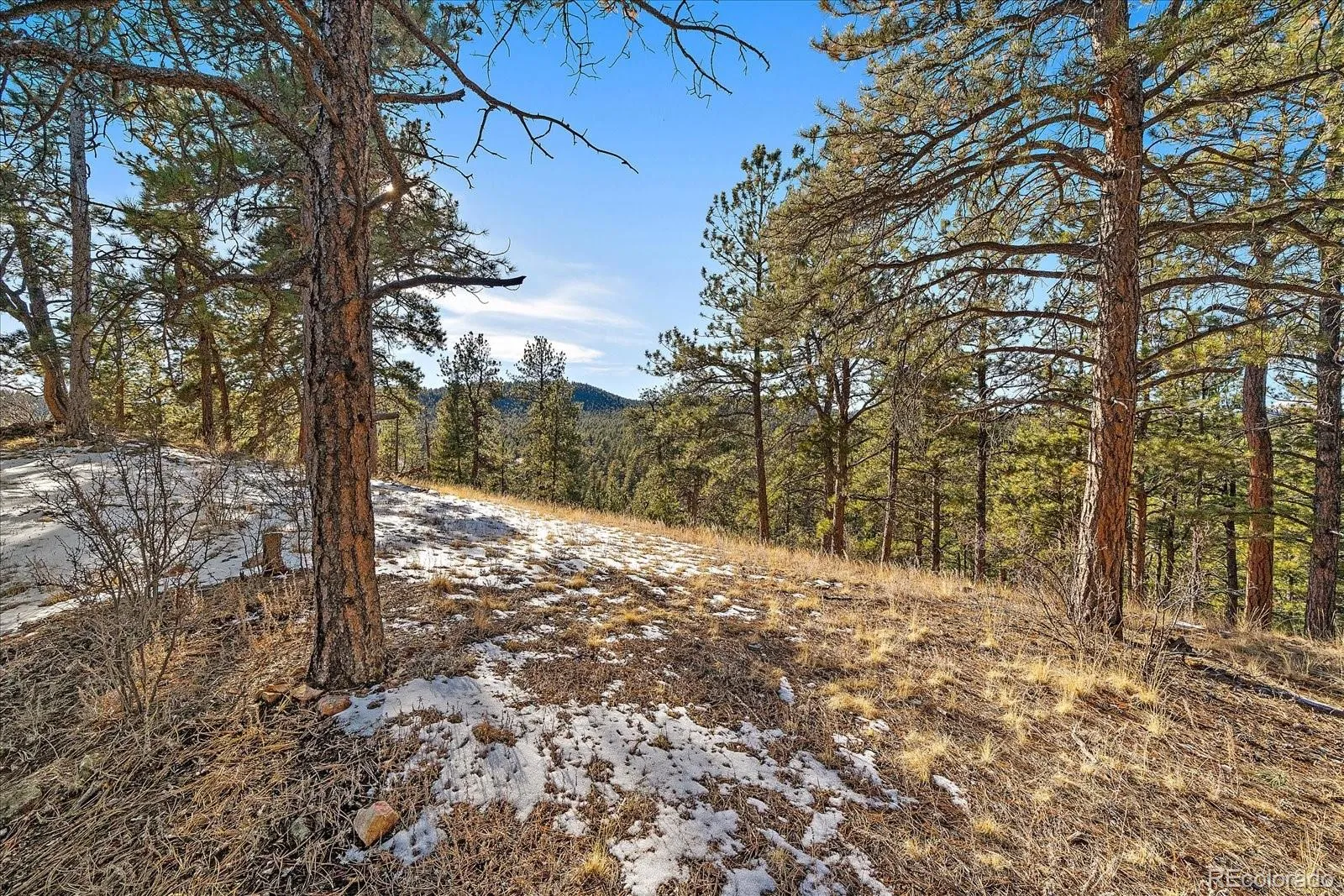 Pine, Colorado 80470, United States, ,Land,Active,68245