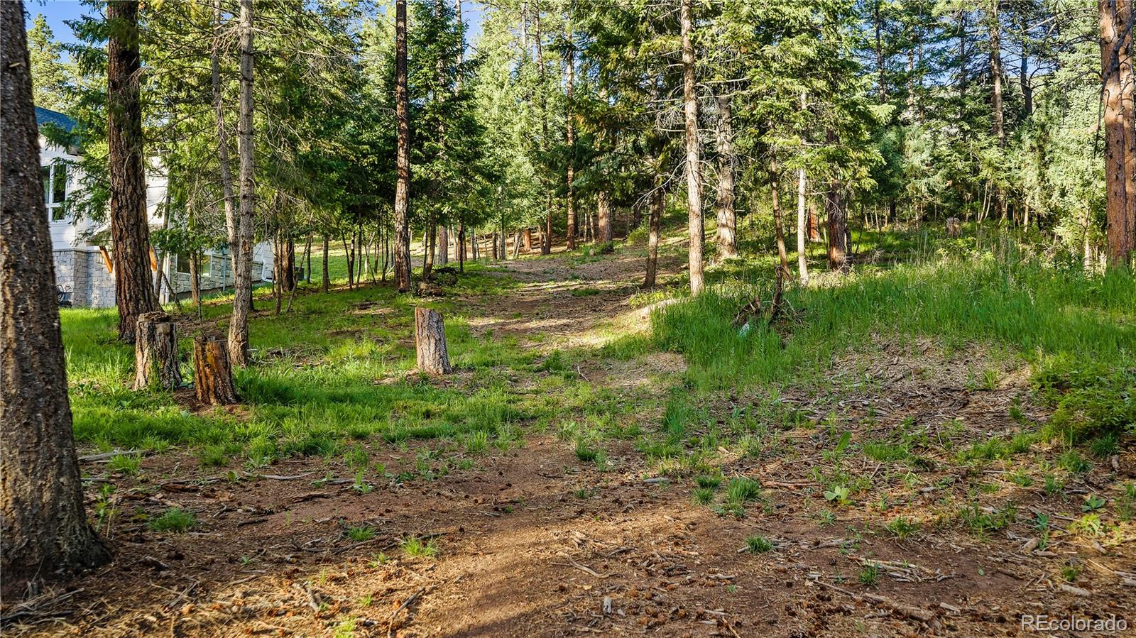 8125 Bannock Drive