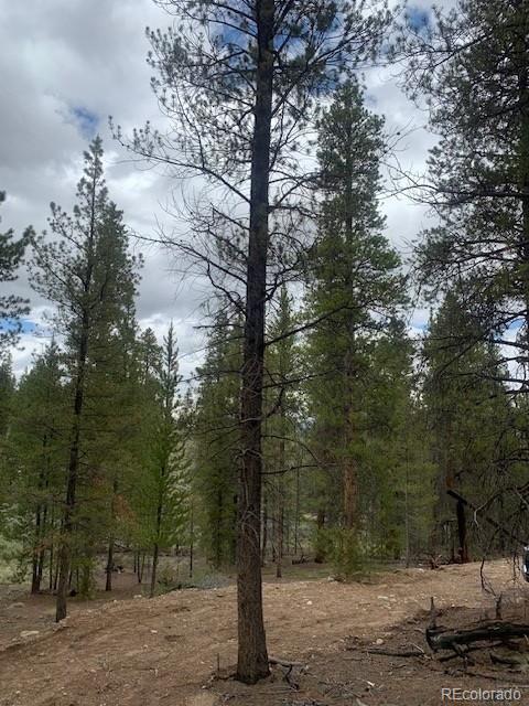123 Lodgepole Drive