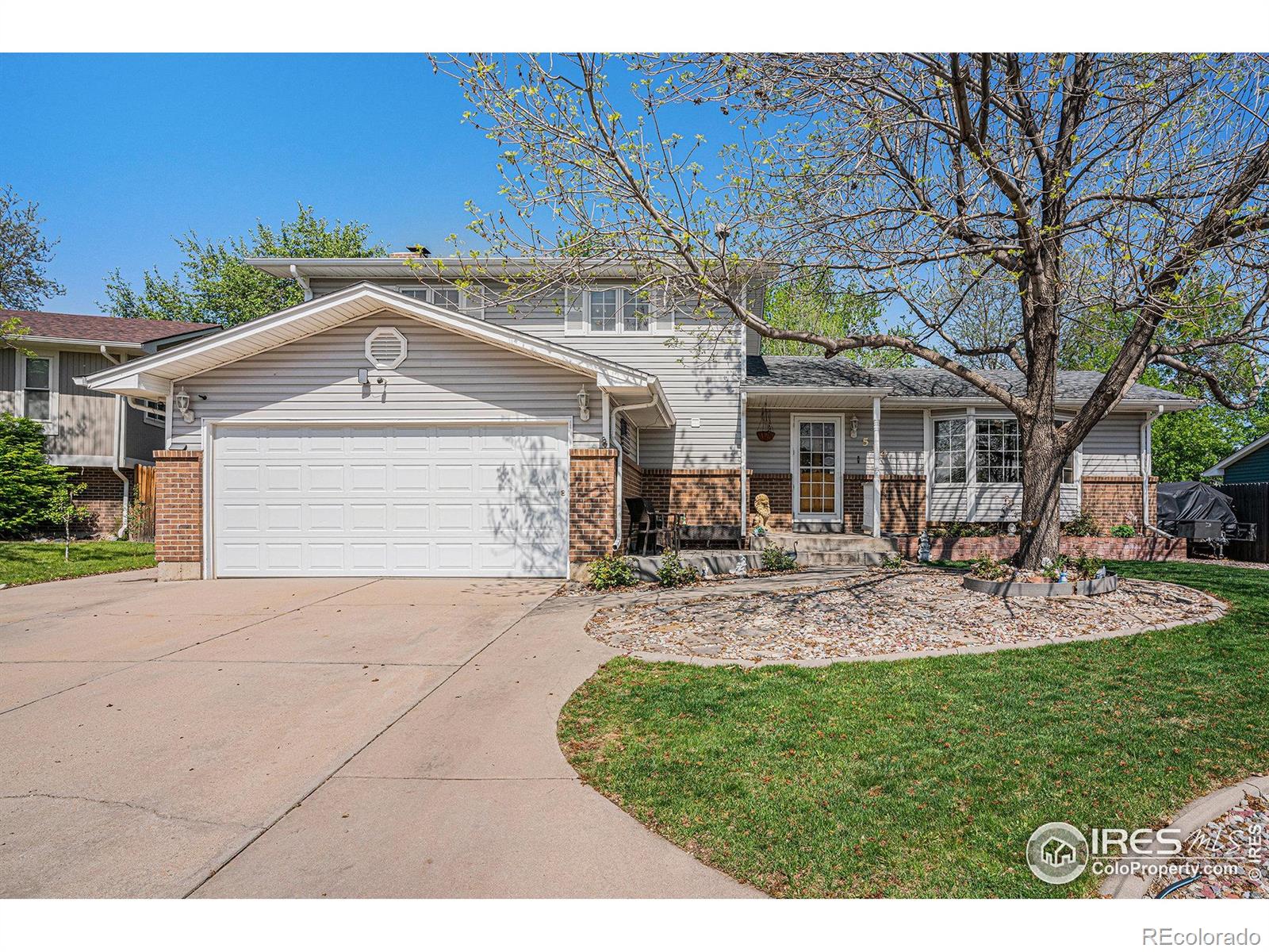 514 Palisade Mountain Drive