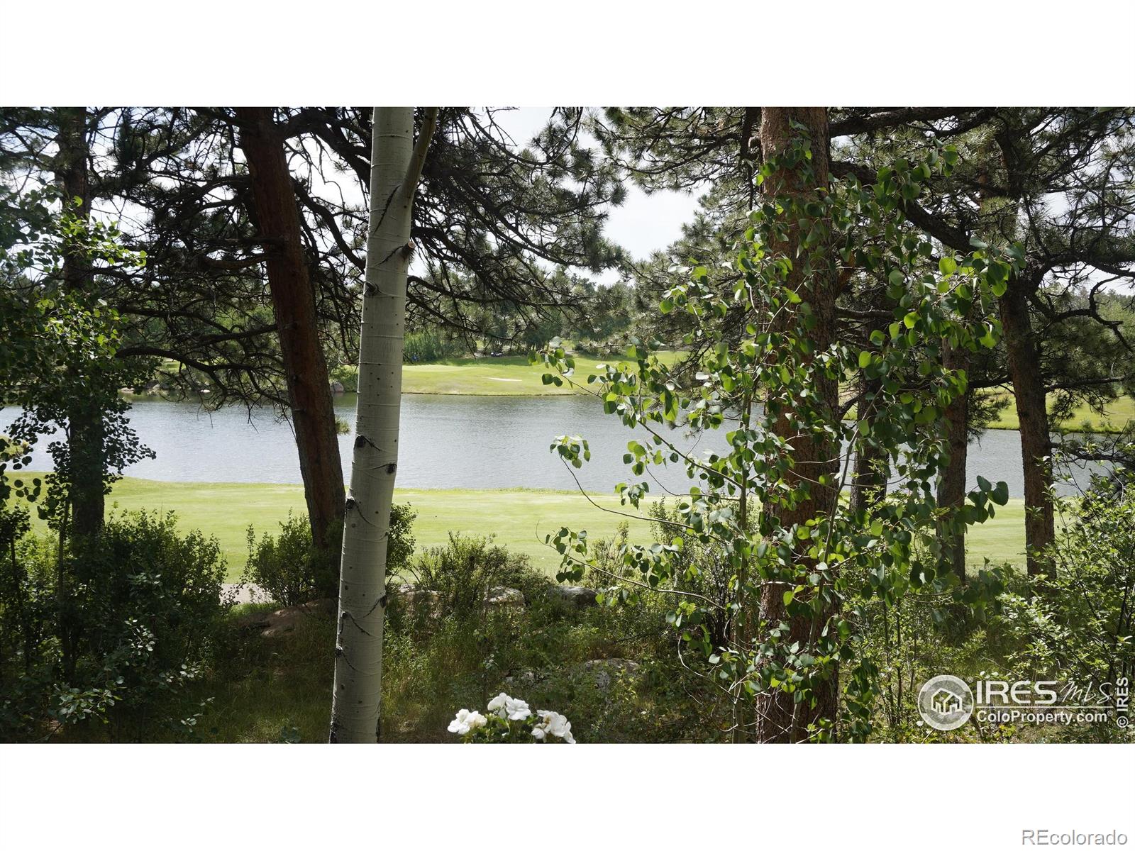 220 Fox Acres Drive W