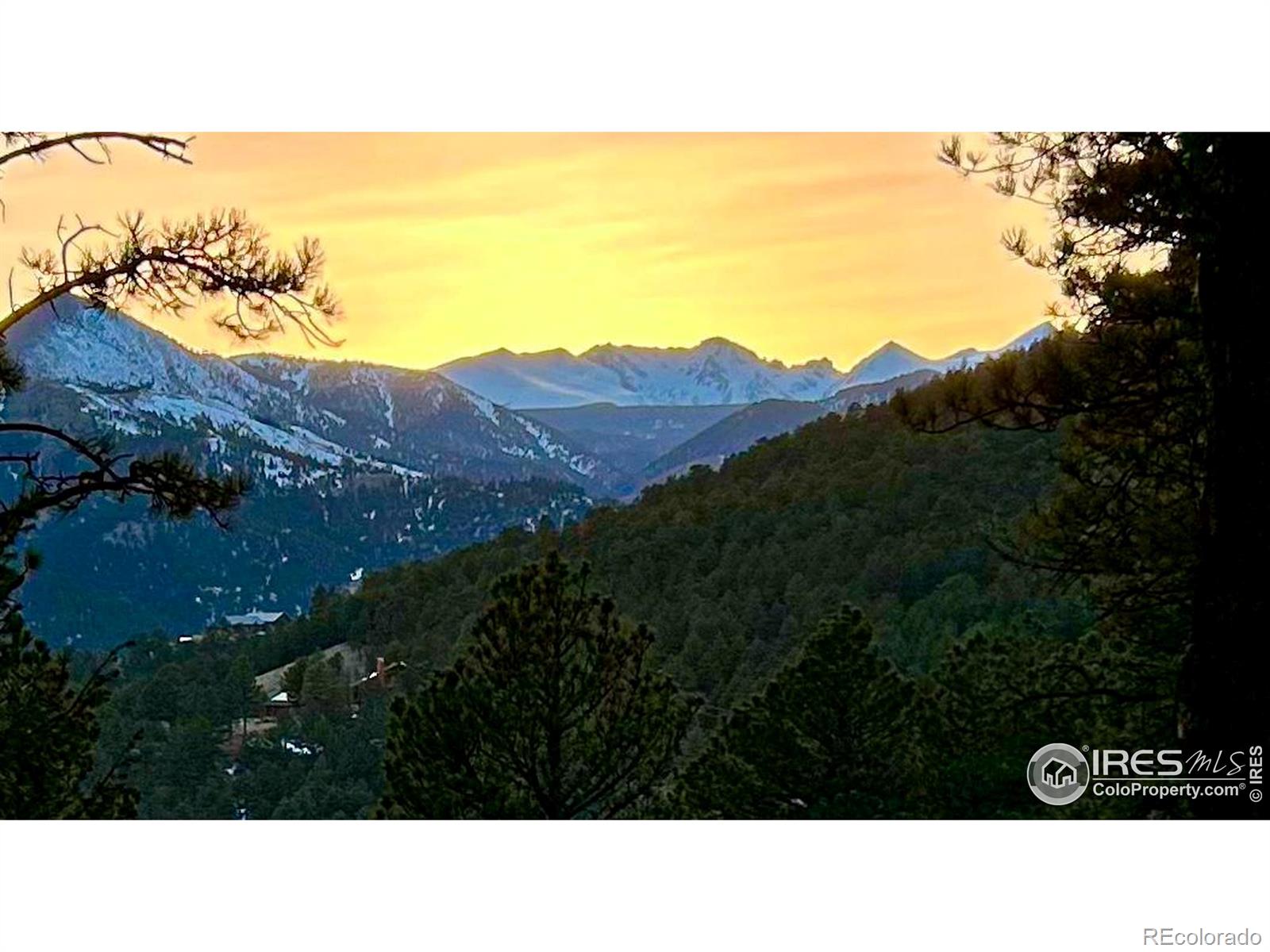 3561 Sunshine Canyon Drive